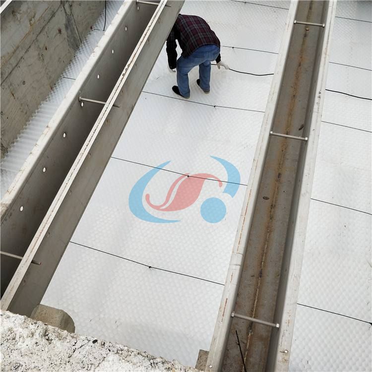 1592818960980865.jpg 1592818960980865.jpg