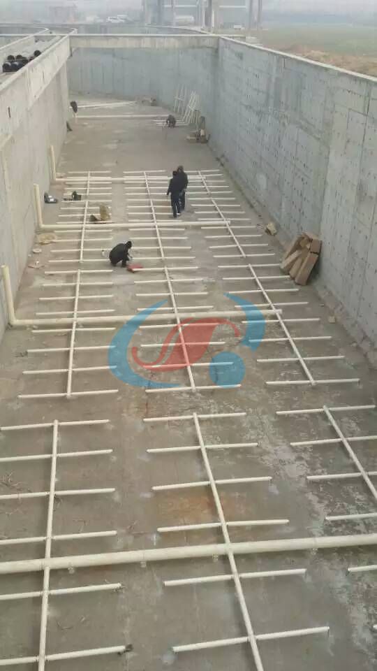 1606553109243698.jpg mmexport1452328429116.jpg