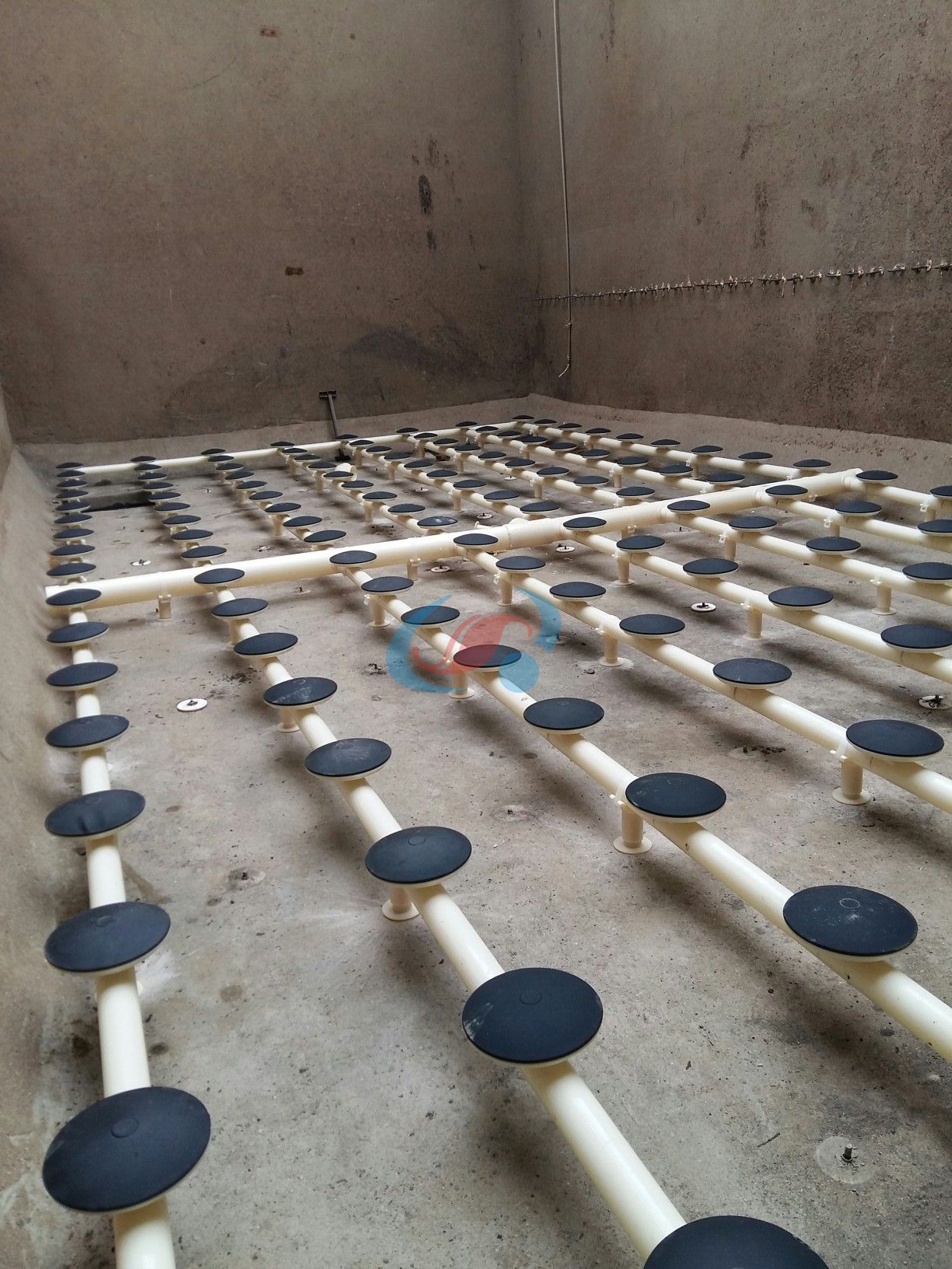 1607046371991095.jpg 1446565398873.jpg