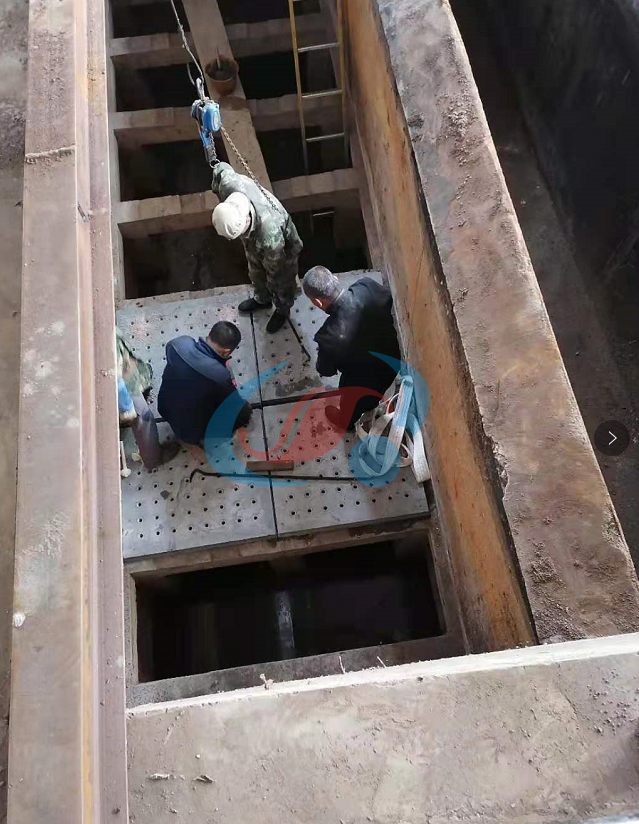 1607995463136768.png w.png