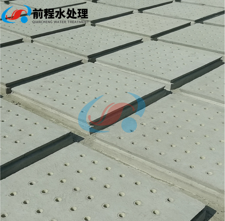 1617093880954317.png 1.png